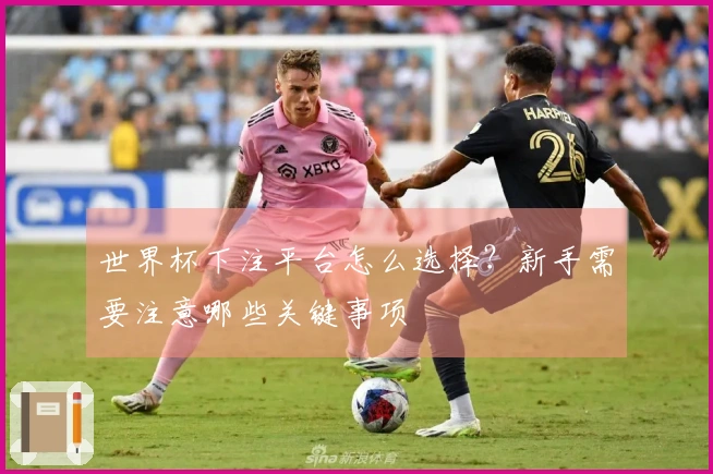 世界杯下注平台怎么选择？新手需要注意哪些关键事项