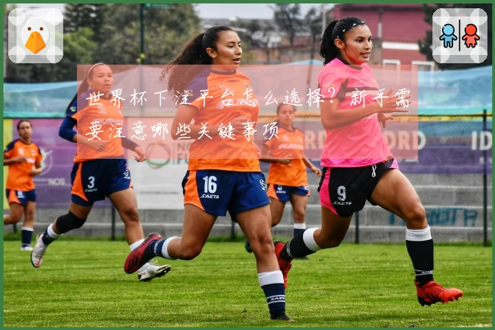 世界杯下注平台怎么选择？新手需要注意哪些关键事项