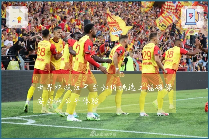 世界杯投注平台如何挑选才能确保安全和公平体验